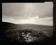 Krajobrazy wy-trawne [Dokument ikonograficzny]