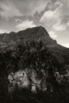 xxx - Jackowi Godlewskiemu [Dokument ikonograficzny]