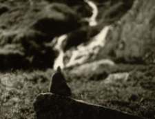 Karkonosze 2007 [Dokument ikonograficzny]