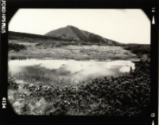 Samotnia [Dokument ikonograficzny]