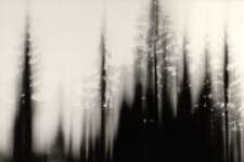 Szept regli [Dokument ikonograficzny]