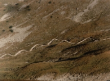 Ścieżka [Dokument ikonograficzny]