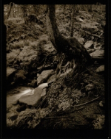 Karkonosze 1996 [Dokument ikonograficzny]