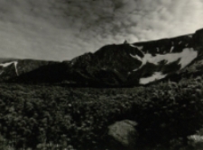 Bez tytułu [Dokument ikonograficzny]