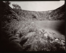 Paprocie nad Małym Stawem [Dokument ikonograficzny]