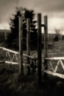 Karkonosze 2011 [Dokument ikonograficzny]