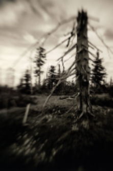 Bez tytułu 2011 [Dokument ikonograficzny]