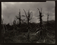 Bez tytułu [Dokument ikonograficzny]