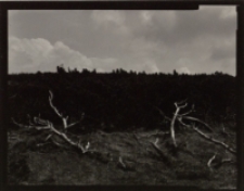 Bez tytułu [Dokument ikonograficzny]