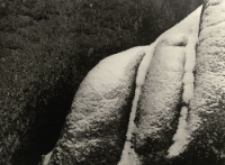 Karkonosze - Bażantowe Skały [Dokument ikonograficzny]