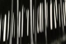 Szept regli [Dokument ikonograficzny]