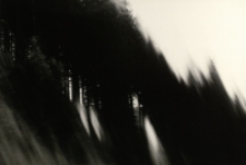 Szepty Regli [Dokument ikonograficzny]