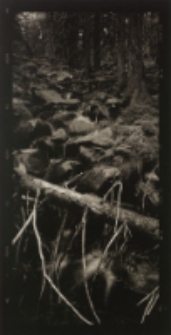 Karkonosze [Dokument ikonograficzny]