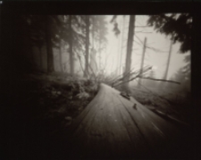 Bez tytułu [Dokument ikonograficzny]