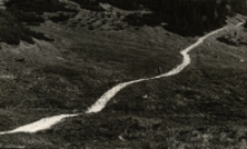 Na szlaku [Dokument ikonograficzny]