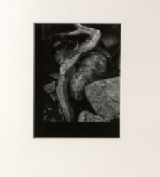 Bez tytułu [Dokument ikonograficzny]