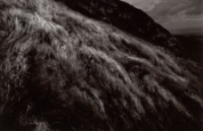 Karkonosze 2 [Dokument ikonograficzny]