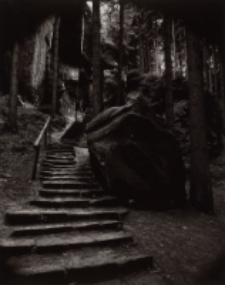 Przebłyski [Dokument ikonograficzny]