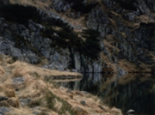 ... skalny ogród [Dokument ikonograficzny]