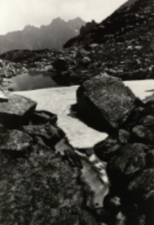 Pejzaż za Mnichem [Dokument ikonograficzny]