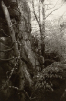 Bez tytułu [Dokument ikonograficzny]