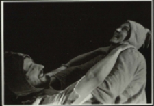 Fatalia błazeńska (fot. 10) [Dokument ikonograficzny]