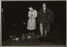 Fatalia błazeńska (fot. 13) [Dokument ikonograficzny]