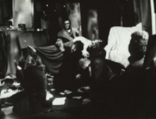 Opowieści petersburskie (fot. 19) [Dokument ikonograficzny]