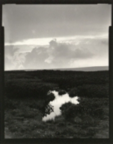 Zestaw 2 [Dokument ikonograficzny]