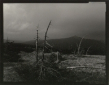 Zestaw 3 [Dokument ikonograficzny]