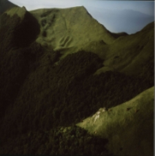 Green [Dokument ikonograficzny]