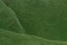 Bez tytułu [Dokument ikonograficzny]