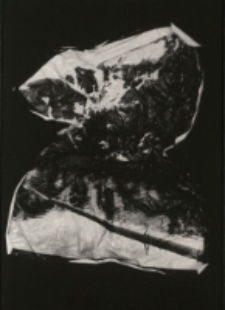 Bez tytułu [Dokument ikonograficzny]