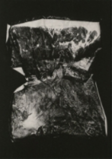 Bez tytułu [Dokument ikonograficzny]