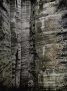 Bez tytułu [Dokument ikonograficzny]