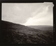 Krajobrazy wy-trawne [Dokument ikonograficzny]