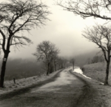 Przełęcz Puchaczówka [Dokument ikonograficzny]