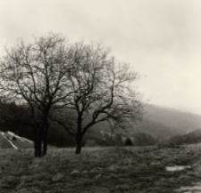 Przełęcz Puchaczówka [Dokument ikonograficzny]