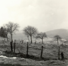 Przełęcz Puchaczówka [Dokument ikonograficzny]