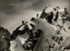 Na grani [Dokument ikonograficzny]