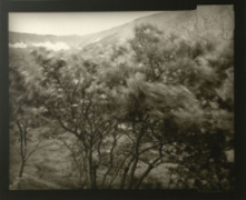 Bez tytułu [Dokument ikonograficzny]