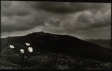 Szrenica [Dokument ikonograficzny]