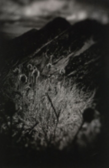 Rok w Tatrach [Dokument ikonograficzny]