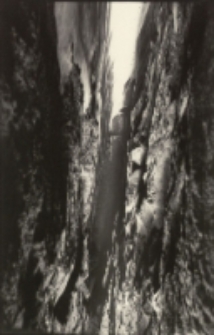 Bez tytułu [Dokument ikonograficzny]