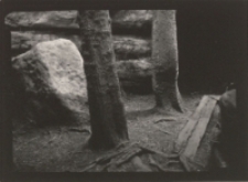 Bez tytułu [Dokument ikonograficzny]