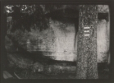 Bez tytułu [Dokument ikonograficzny]