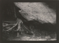 Bez tytułu [Dokument ikonograficzny]