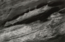 Bez tytułu [Dokument ikonograficzny]