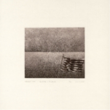 Horyzont XXIX [Dokument ikonograficzny]