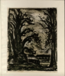 z cyklu krajobraz z Poznanskiego. Topole [Dokument ikonograficzny]